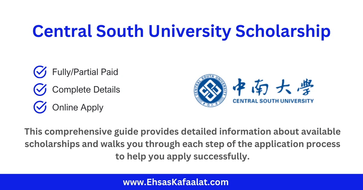 Central South University Scholarship
