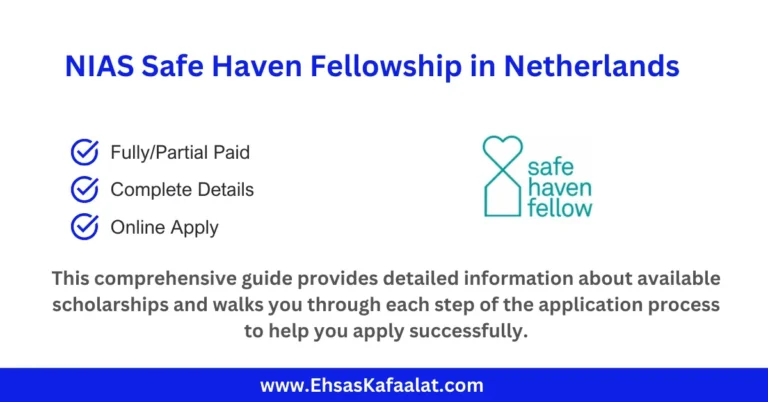 NIAS Safe Haven Fellowship
