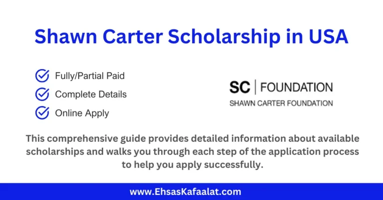 The Shawn Carter Scholarship