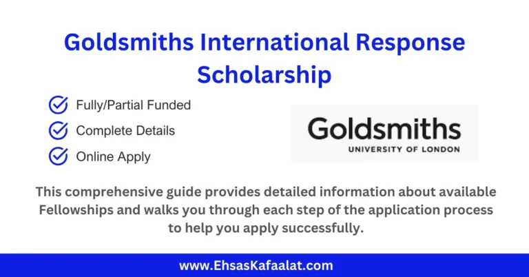 Goldsmiths International Response Scholarship