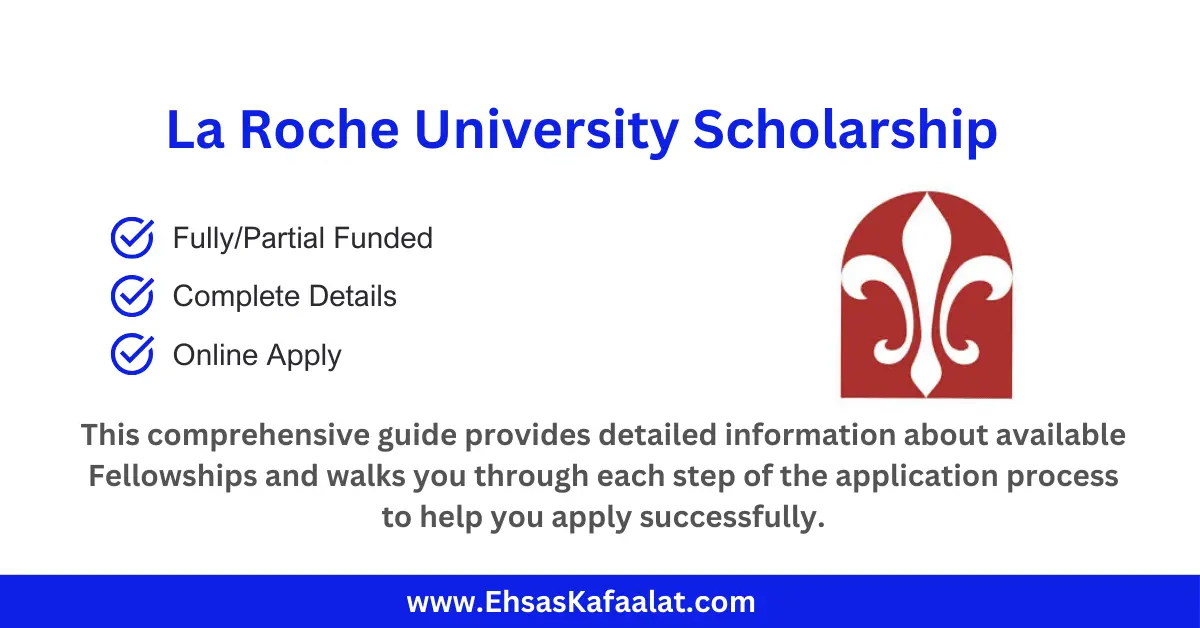 La Roche University Scholarship