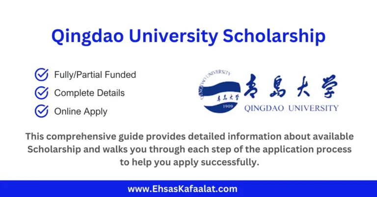 Qingdao University Scholarship