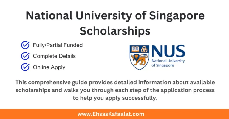 National University of Singapore Scholarships