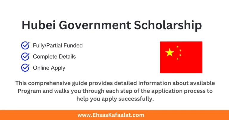 Hubei Government Scholarship