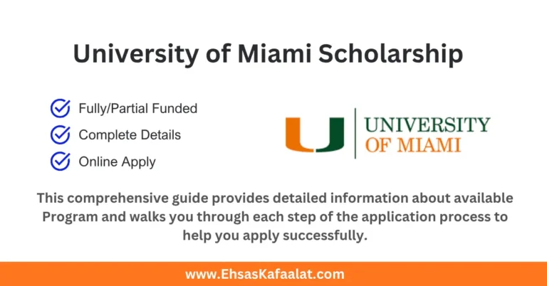 University of Miami Bachelors Scholarship