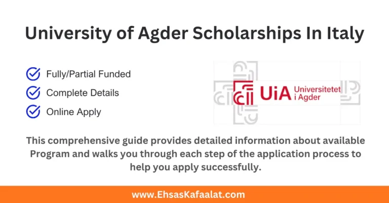 University of Agder Scholarships