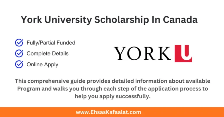 York University Scholarships